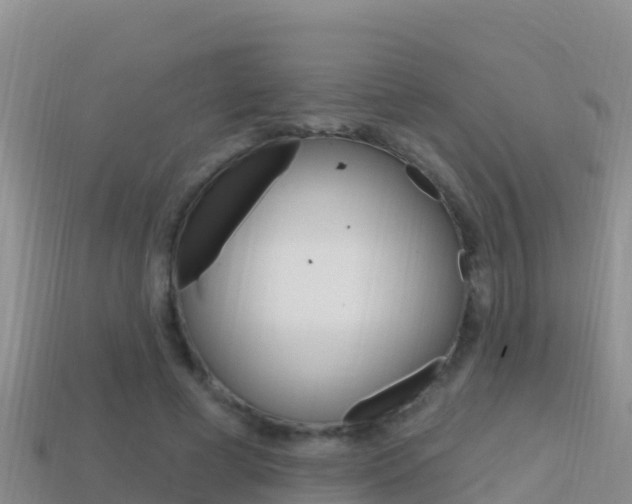 X0000114420593200910161055