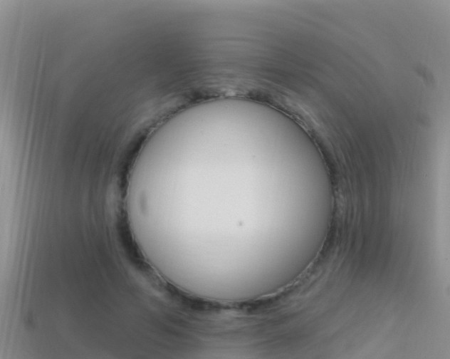 X0000114420594200910161055