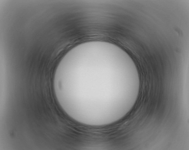 X0000114420595200910161055