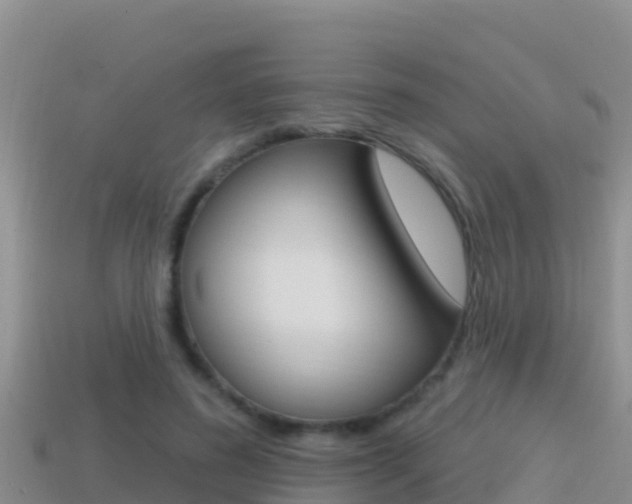 X0000114420596200910161055