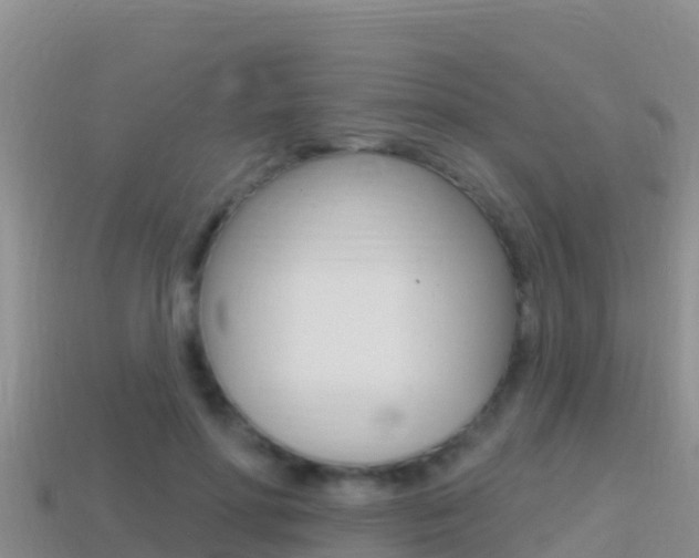 X0000114420598200910161055
