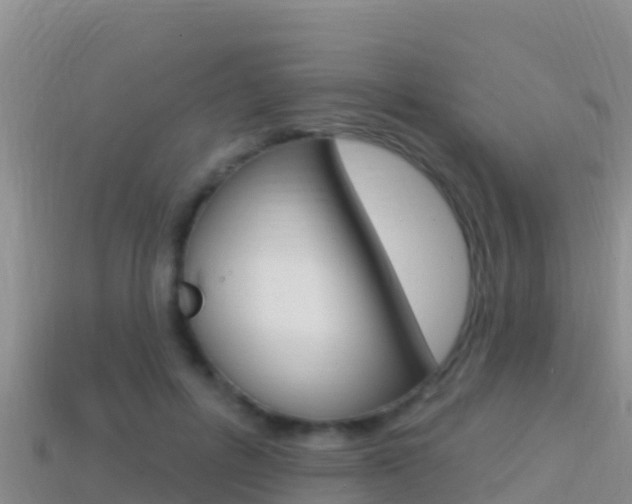 X0000114420600200910161055