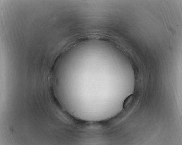 X0000114420601200910161055