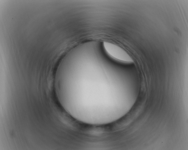 X0000114420604200910161055