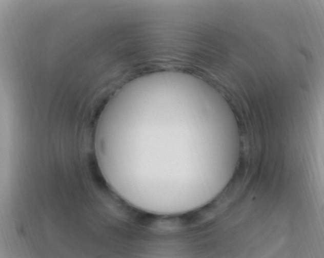 X0000114420606200910161055
