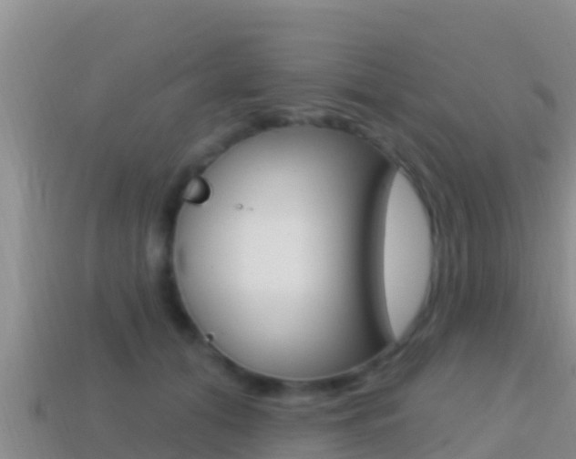 X0000114420608200910161055