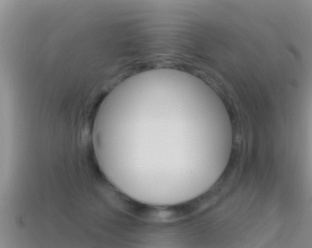 X0000114420610200910161055
