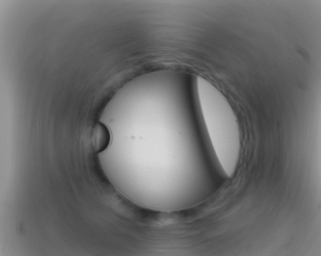 X0000114420612200910161055