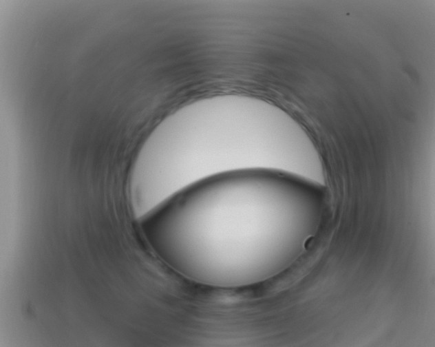 X0000114420613200910161055