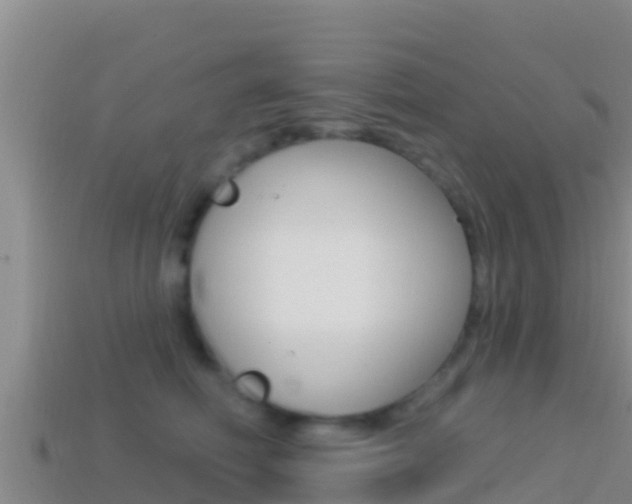 X0000114420614200910161055