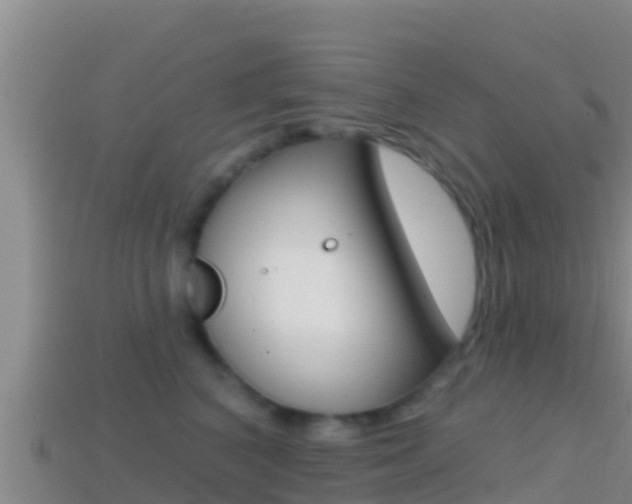 X0000114420616200910161055