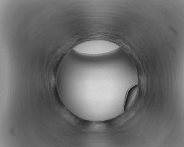 X0000114420617200910161055