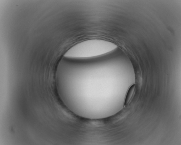 X0000114420619200910161055
