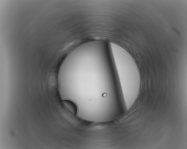X0000114420620200910161055