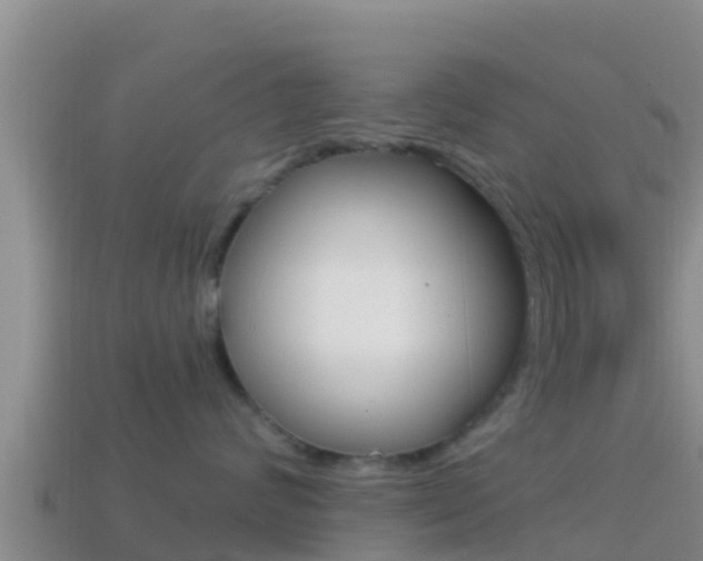 X0000114420624200910161055