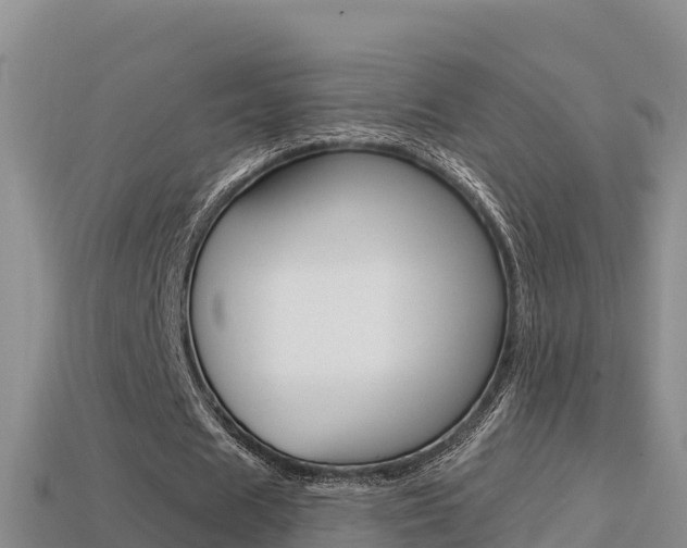 X0000114420625200910161054