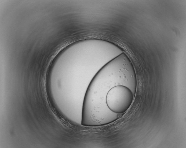 X0000114420626200910161054