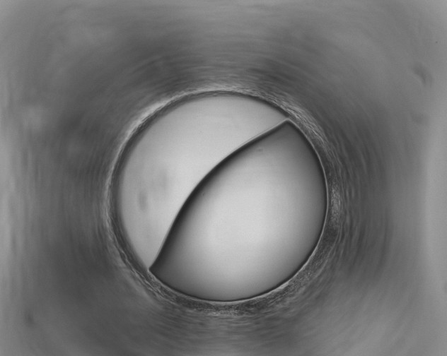 X0000114420628200910161054