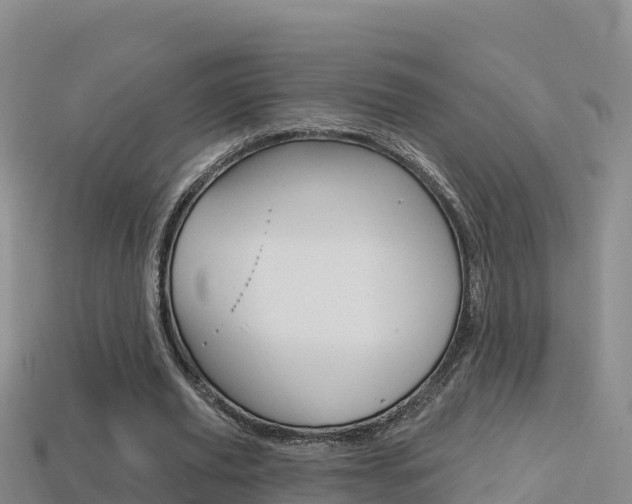 X0000114420629200910161054