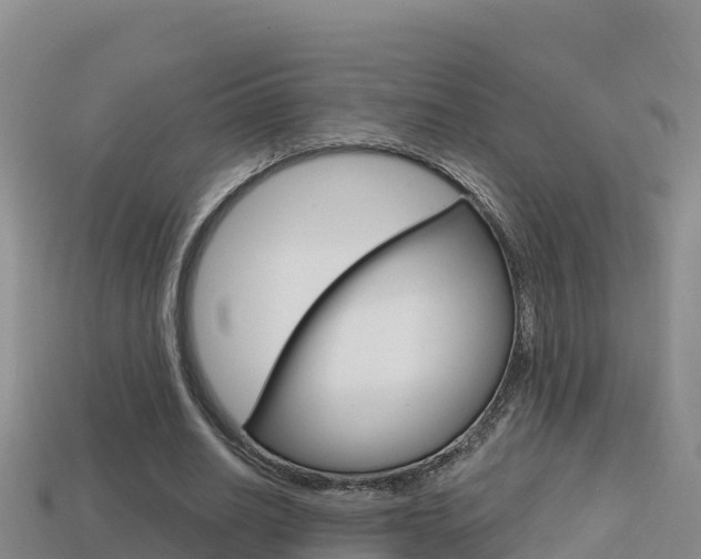 X0000114420630200910161054