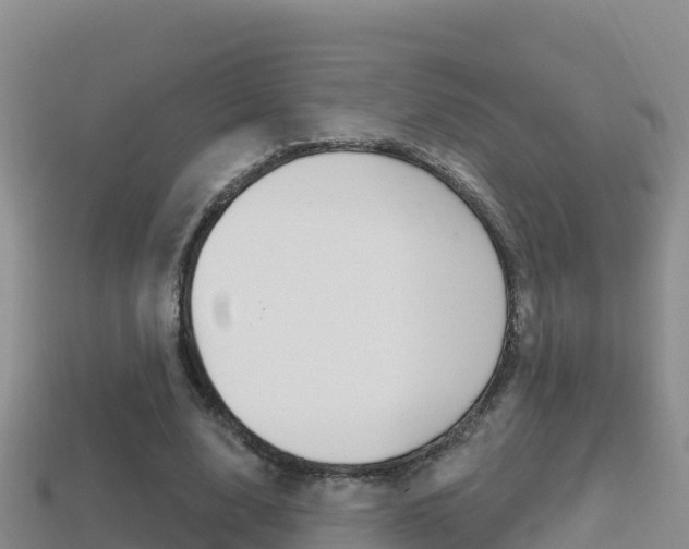 X0000114420632200910161054