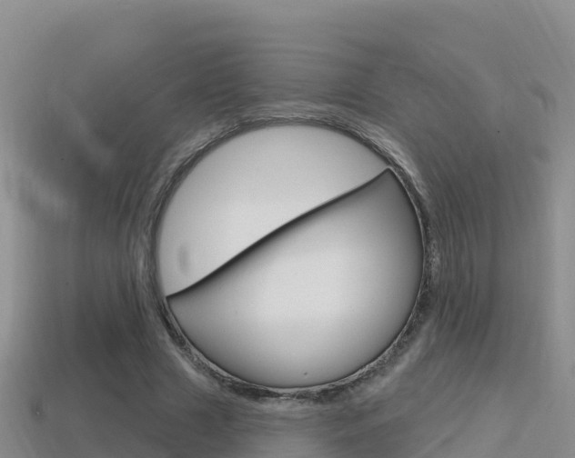 X0000114420633200910161054