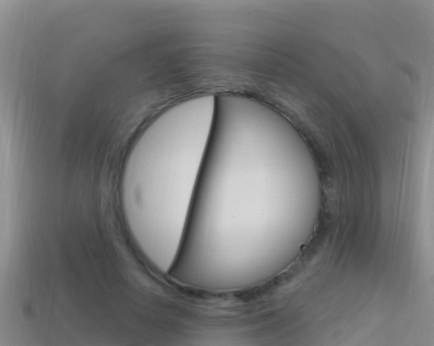 X0000114420642200910161054