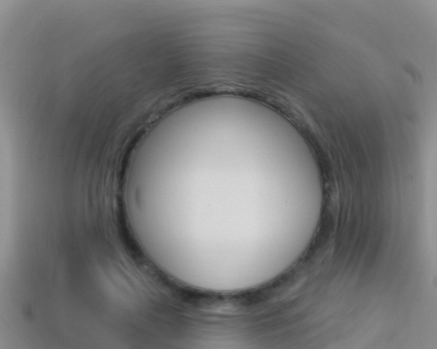 X0000114420643200910161054