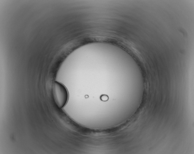 X0000114420645200910161054