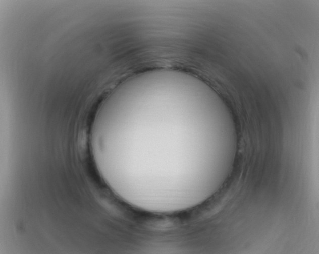X0000114420646200910161054