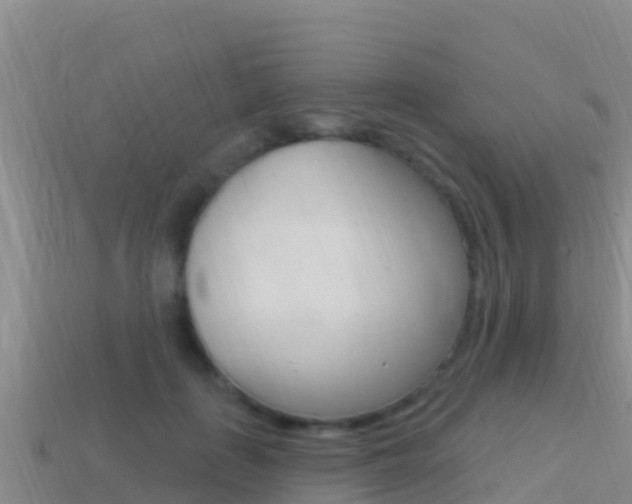 X0000114420651200910161054