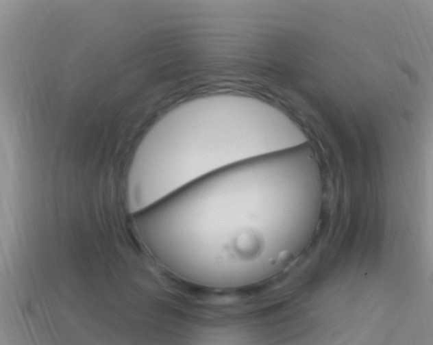 X0000114420653200910161054