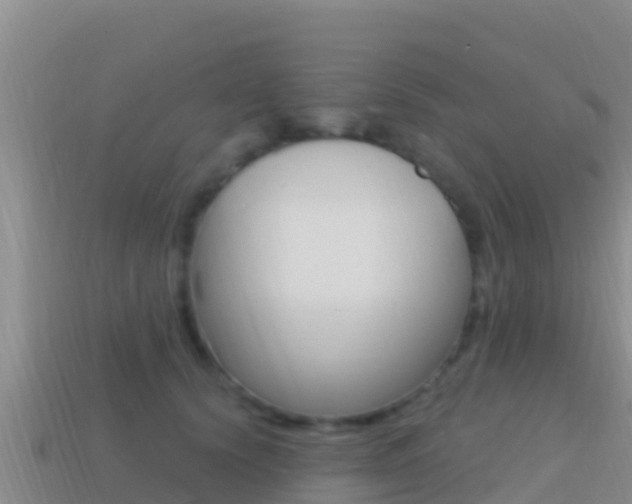 X0000114420656200910161054