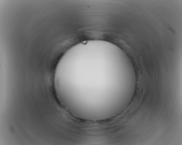 X0000114420658200910161055