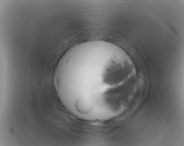 X0000114420659200910161055
