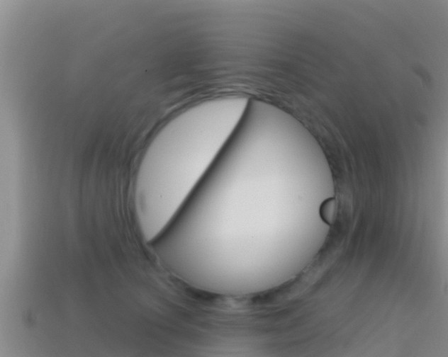 X0000114420660200910161055