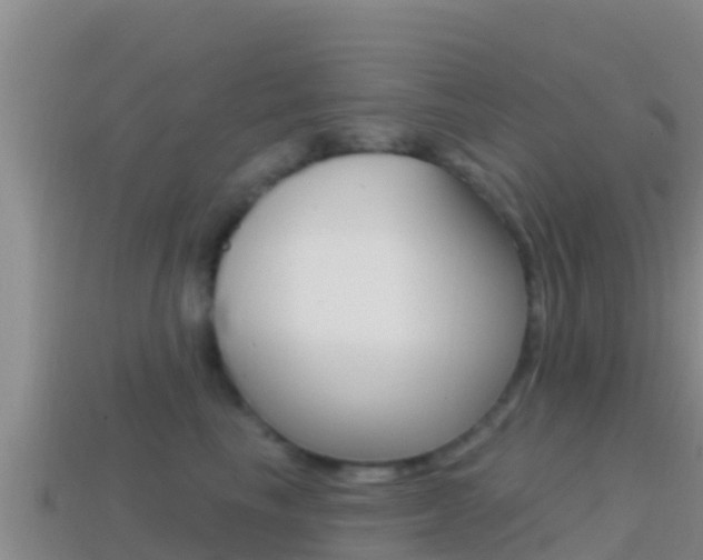X0000114420665200910161055