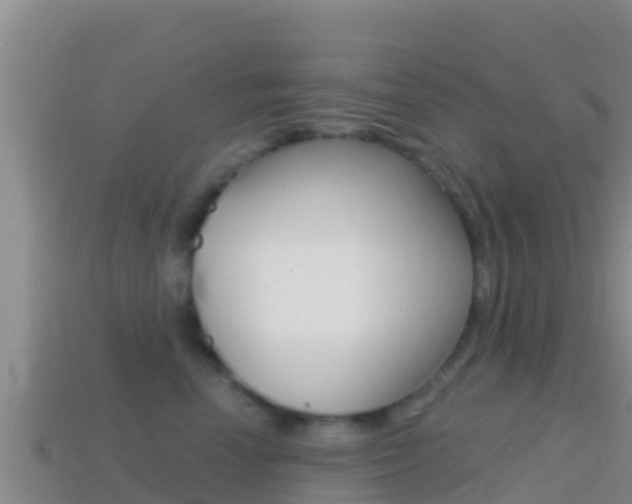 X0000114420666200910161055
