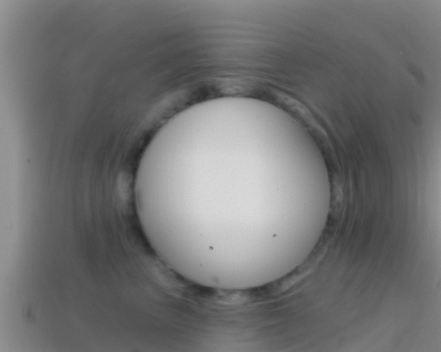 X0000114420667200910161055