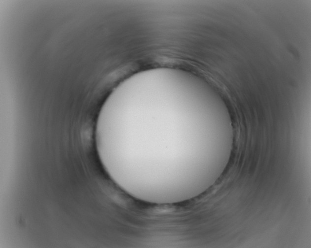 X0000114420668200910161055