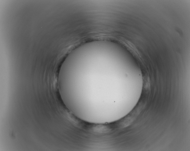 X0000114420669200910161055