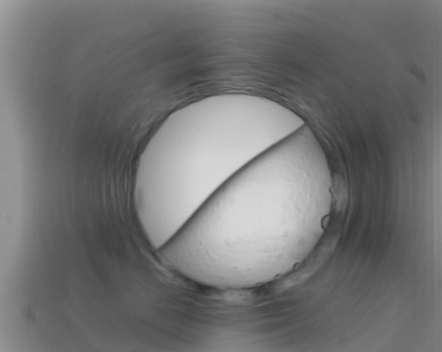 X0000114420670200910161055
