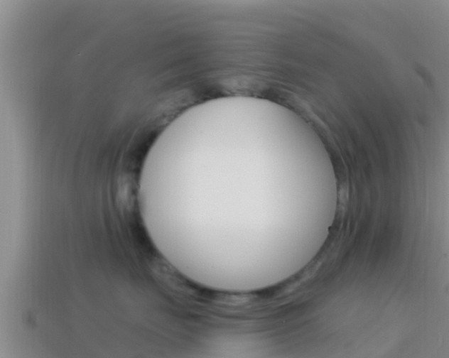 X0000114420671200910161055
