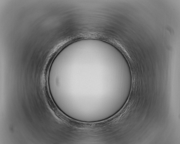 X0000114420674200910161054