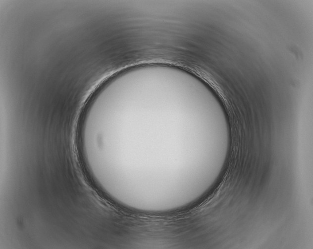 X0000114420676200910161054