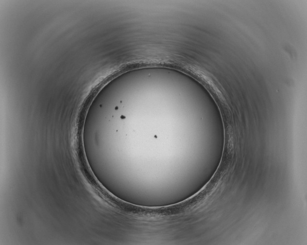 X0000114420677200910161054