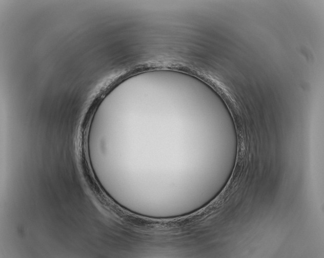 X0000114420678200910161054