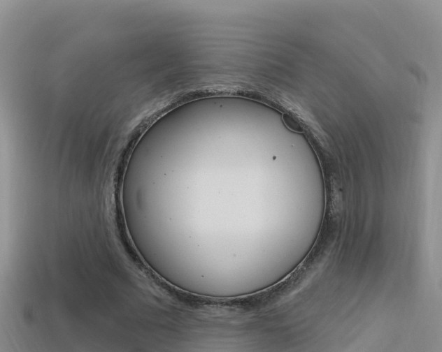 X0000114420681200910161054
