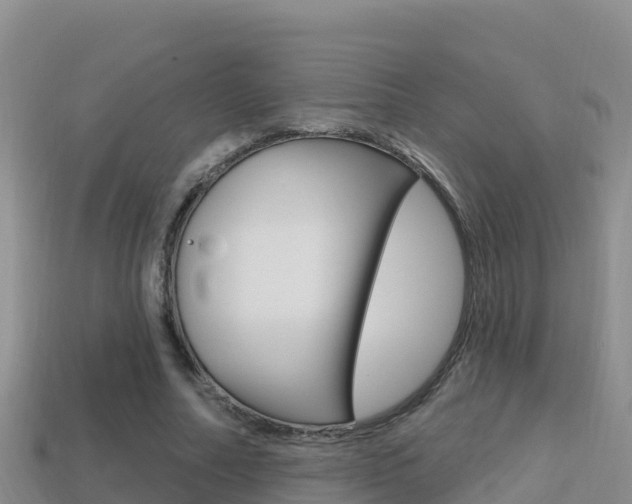 X0000114420682200910161054