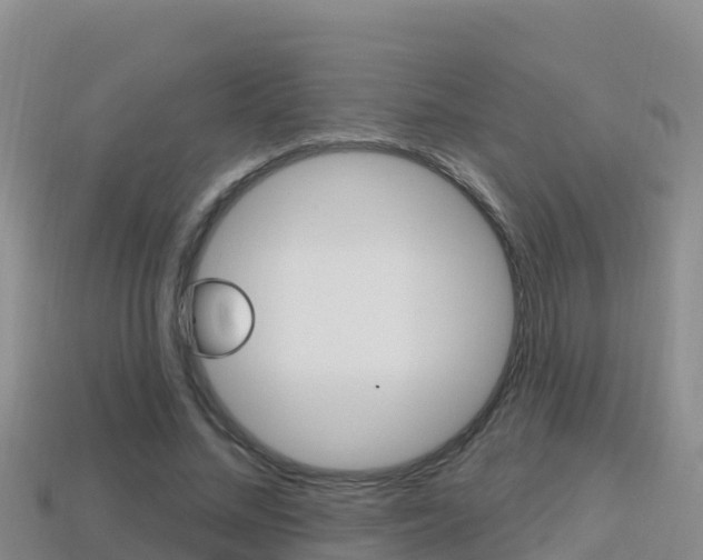 X0000114420684200910161054